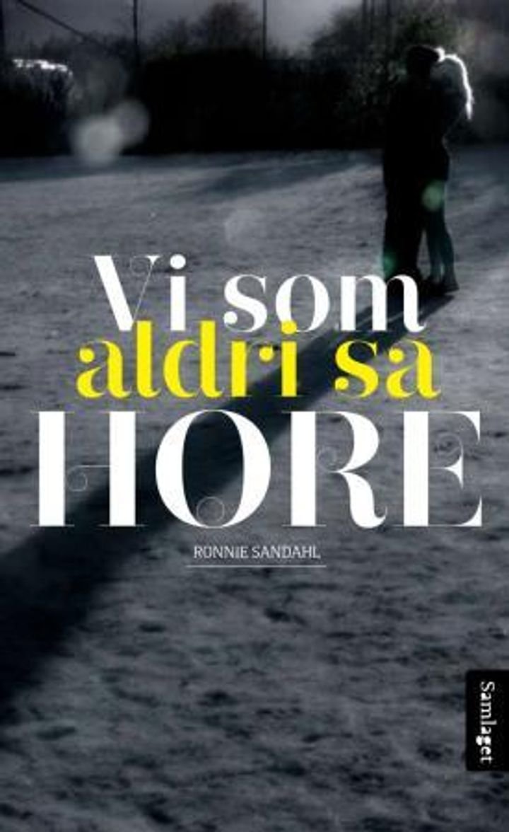 Vi som aldri sa hore - roman