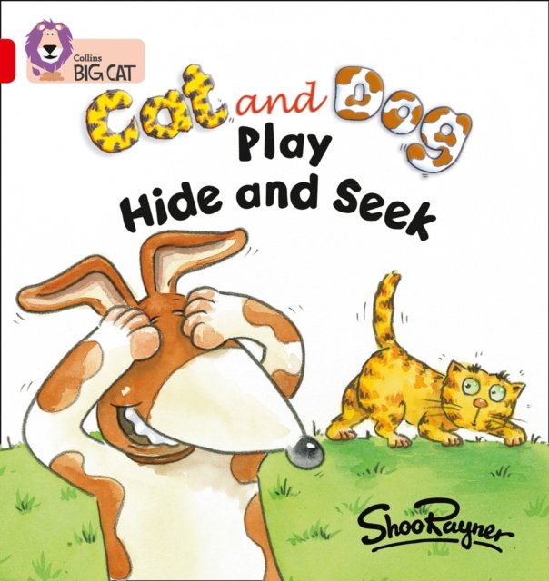 BIG CAT - HIDE AND SEEK