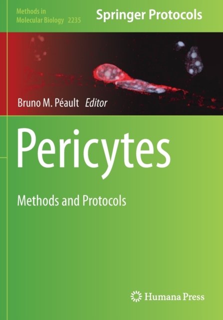 Pericytes
