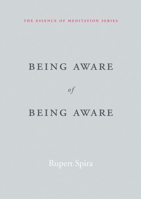 Being Aware of Being Aware