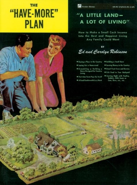 The "Have-More" Plan