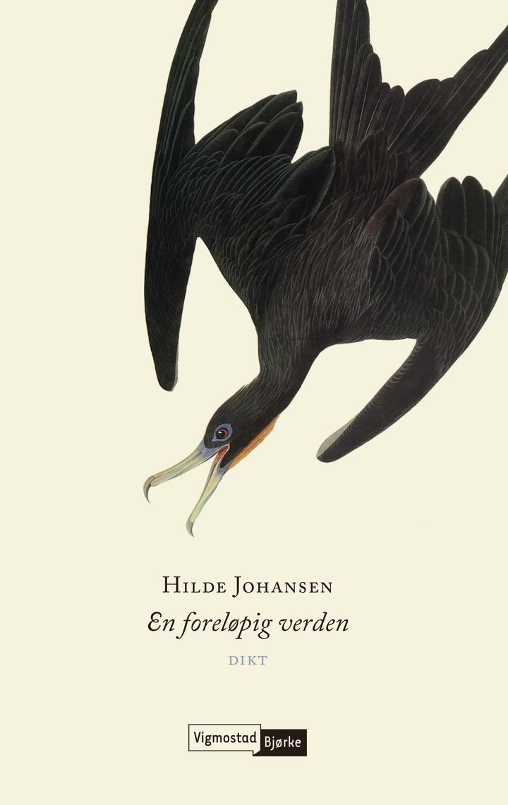 En foreløpig verden