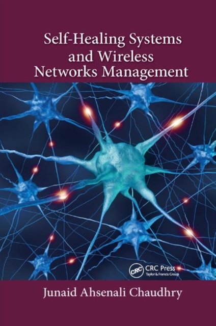 Self-healing Systems and Wireless Networks Management
