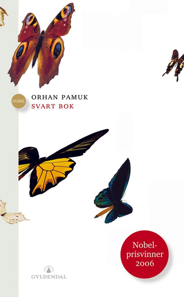 Svart bok - roman