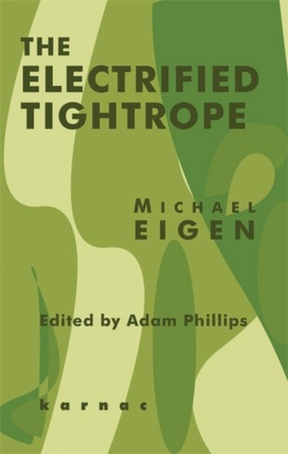 The Electrified Tightrope