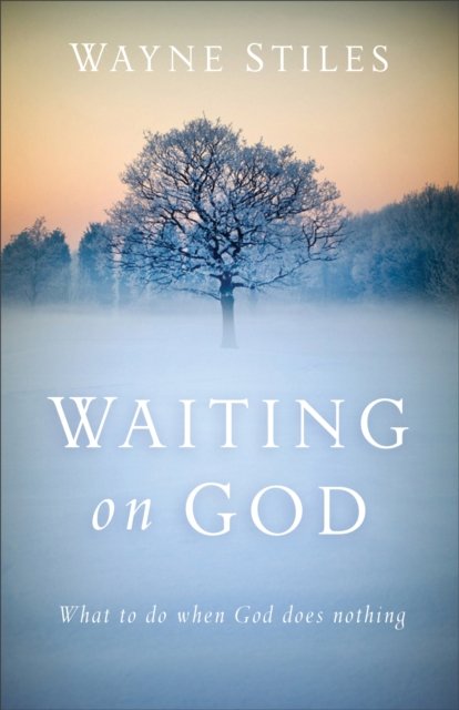 Waiting on God – What to Do When God Does Nothing