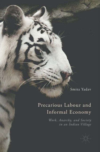 Precarious Labour and Informal Economy