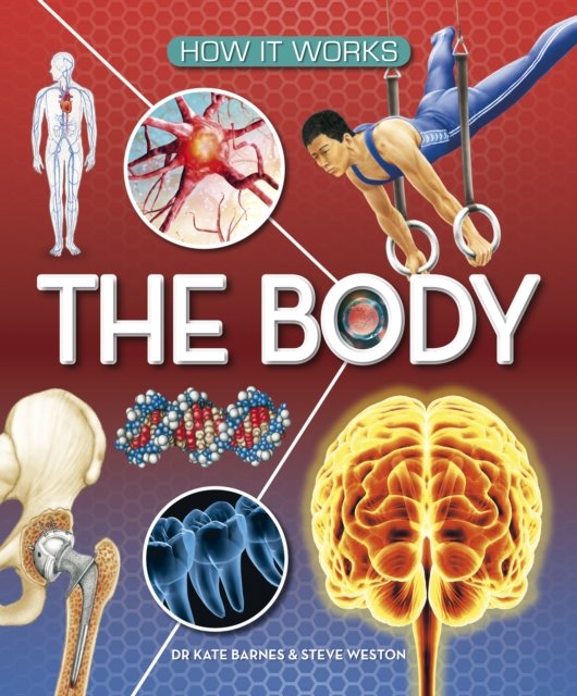 How It Works: The Body