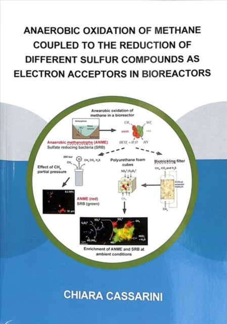 Anaerobic Oxidation of Methane Coupled to the Reduction of Different Sulfur Compounds As Electron Acceptors in Bioreactors