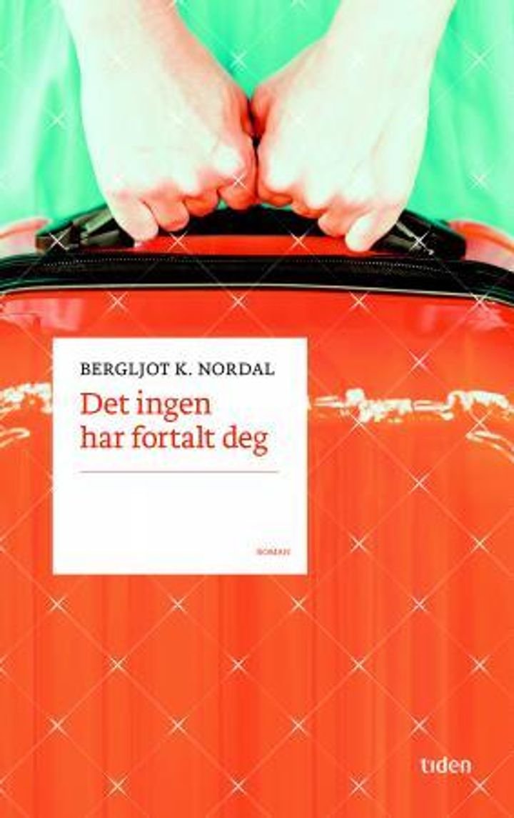 Det ingen har fortalt deg - roman