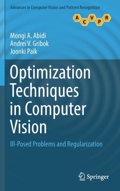 Optimization Techniques in Computer Vision