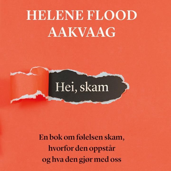 Hei, skam - en bok om følelsen skam, hvorfor den oppstår og hva den gjør med oss