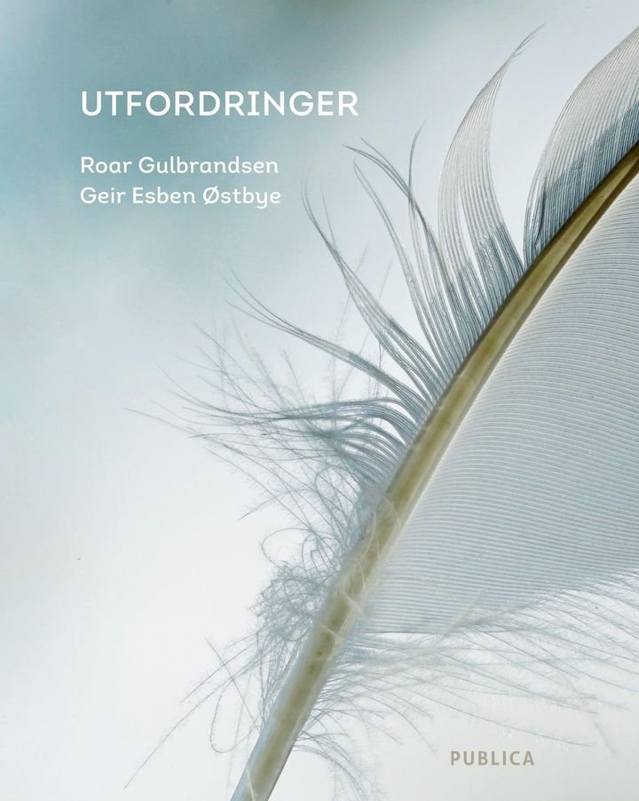 Utfordringer
