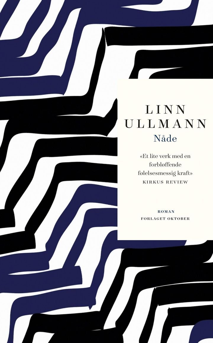 Nåde - roman