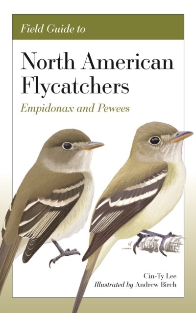Field Guide to North American Flycatchers – Empidonax and Pewees