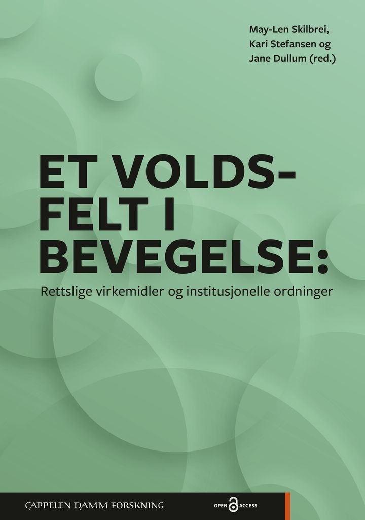 Et voldsfelt i bevegelse - rettslige virkemidler og institusjonelle ordninger