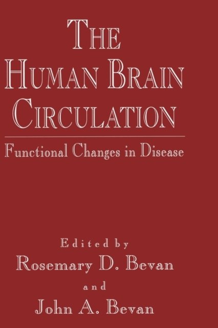 The Human Brain Circulation