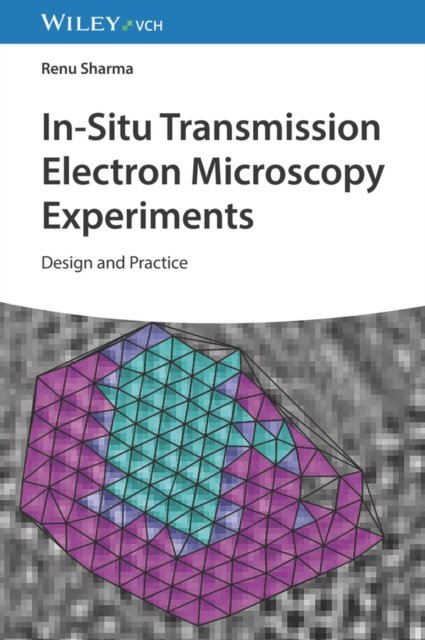 In–Situ Transmission Electron Microscopy Experiments