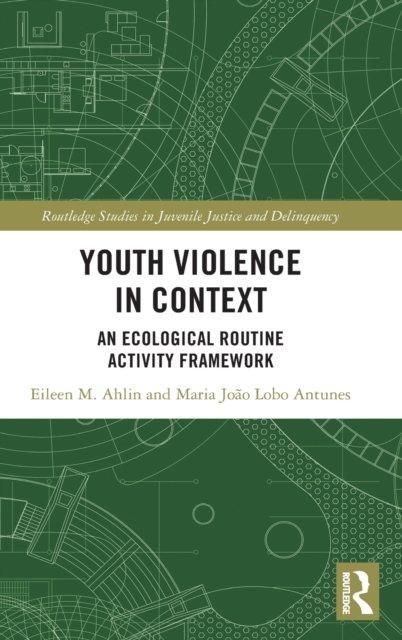 Youth Violence in Context