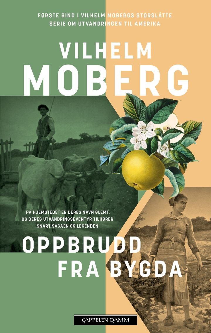 Oppbrudd fra bygda - utvandrerne 1