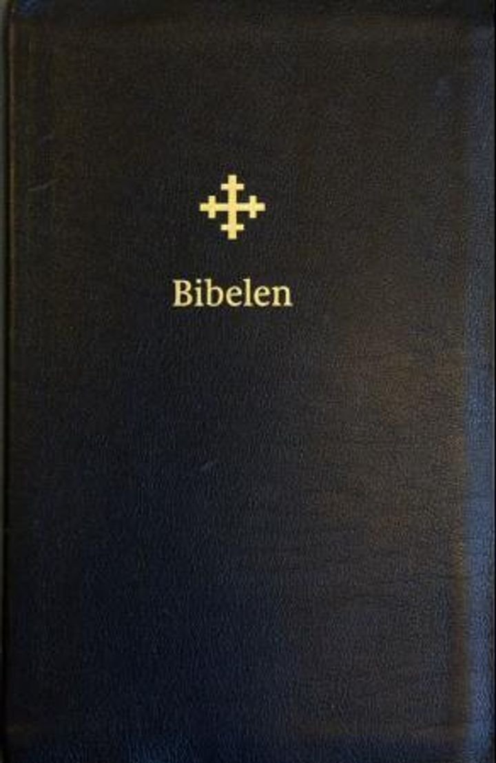 Bibelen - Den hellige skrift : Det gamle og Det nye testamentet
