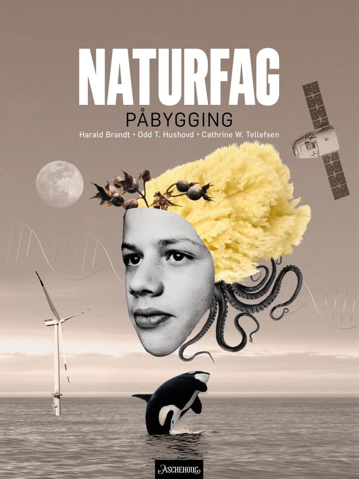 Naturfag påbygging vg3 - Lærebok : naturfag for videregående