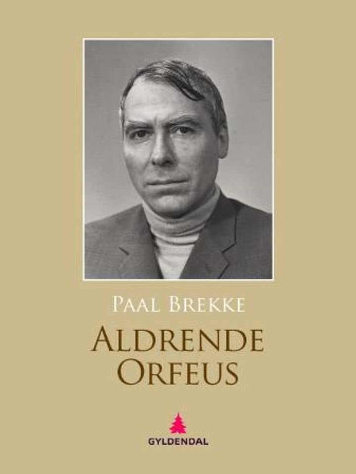 Aldrende Orfeus - roman