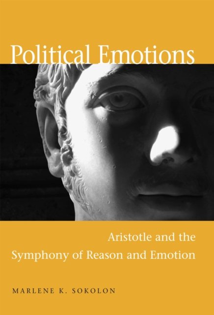 Political Emotions