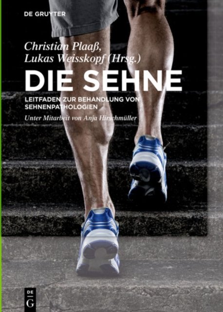 Die Sehne