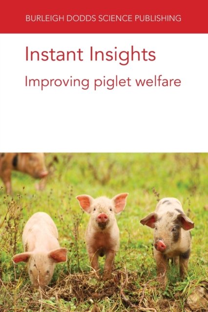 Instant Insights