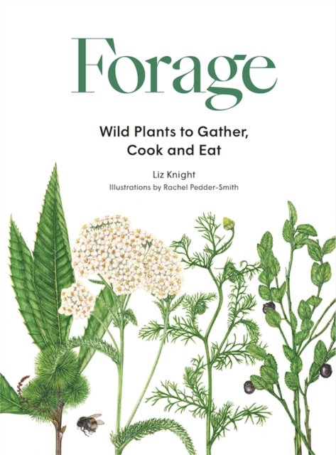 Forage