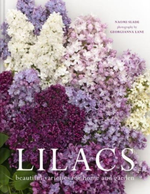 LILACS HB
