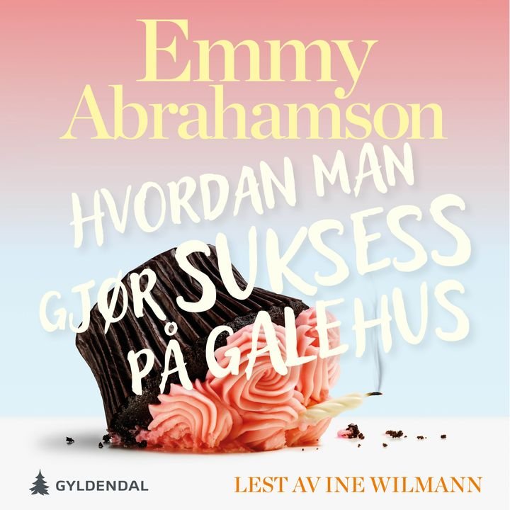 Hvordan man gjør suksess på et galehus - roman