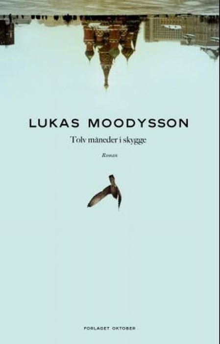 Tolv måneder i skygge