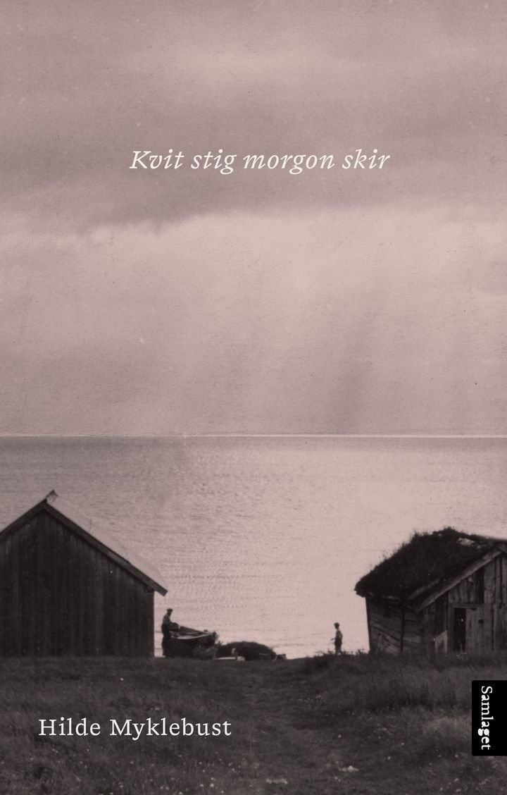 Kvit stig morgon skir - dikt