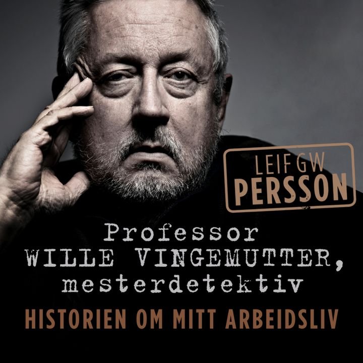 Professor Wille Vingemutter, mesterdetektiv - historien om mitt arbeidsliv
