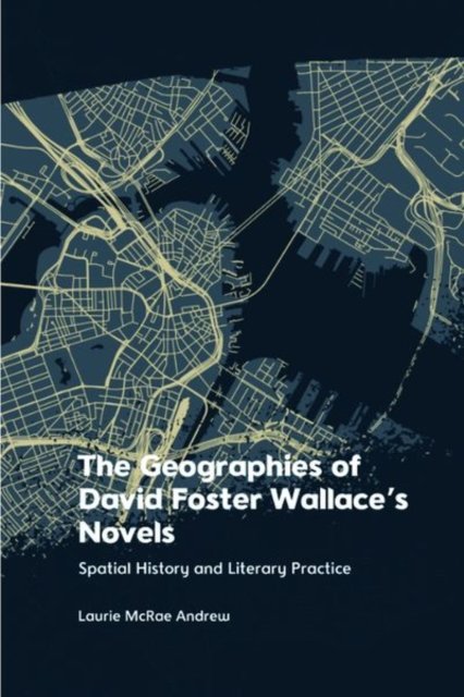 The Geographies of David Foster Wallace''s Novels
