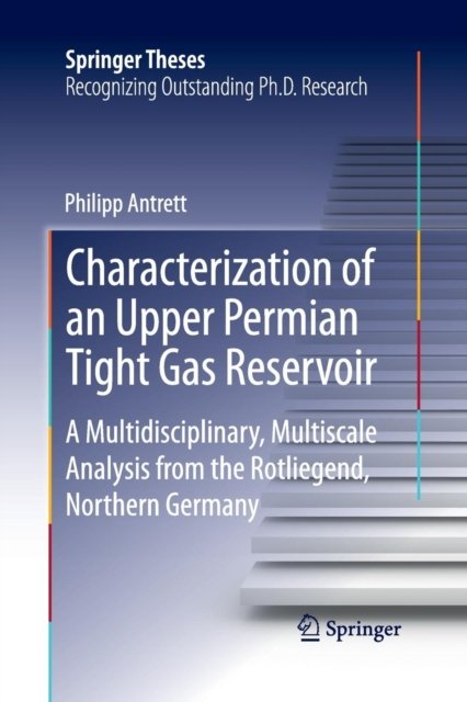 Characterization of an Upper Permian Tight Gas Reservoir
