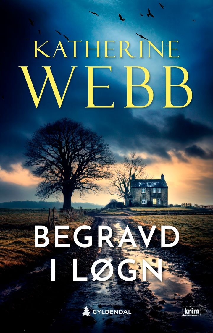 Begravd i løgn - roman
