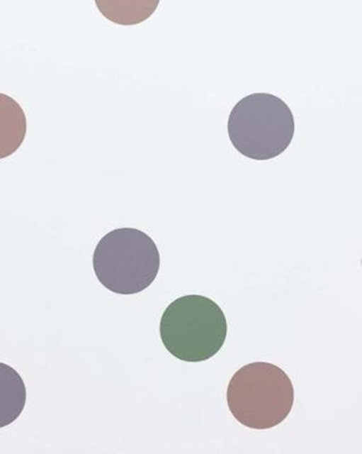 Bridget Riley: Recent Paintings 2014–2017