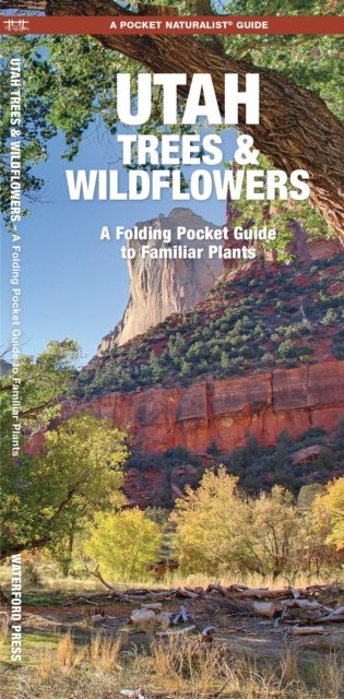 Utah Trees & Wildflowers