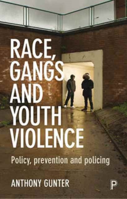 Race, Gangs and Youth Violence – Policy, Preventio n and Policing