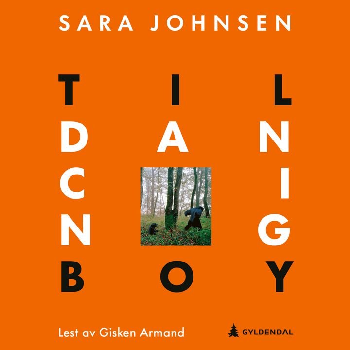 Til dancing boy - roman