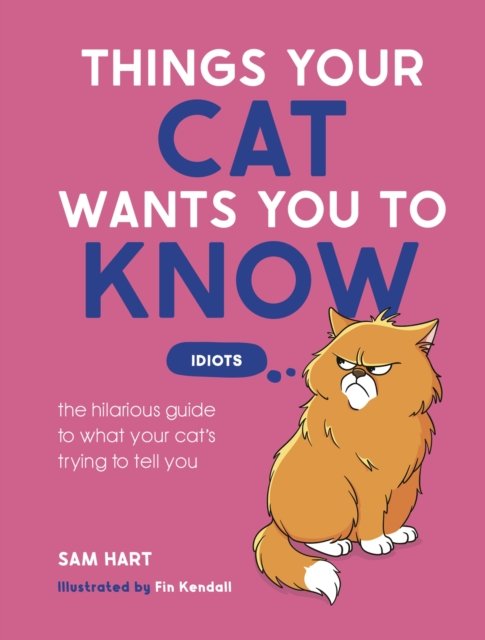 Things Your Cat Wants You to Know
