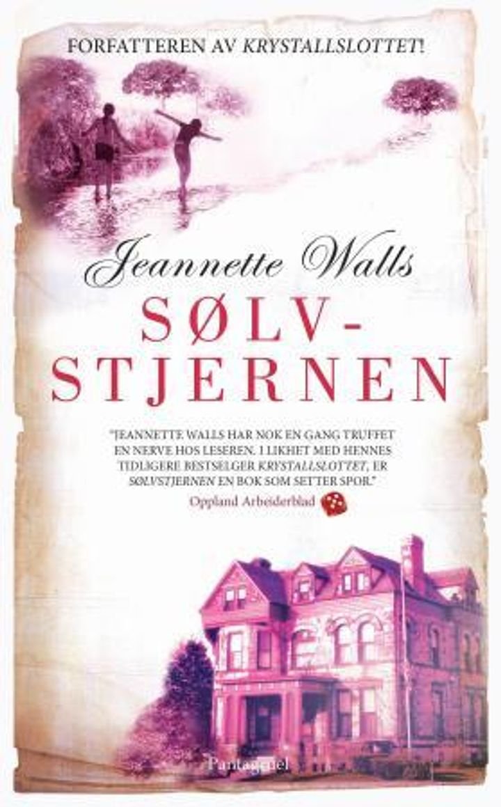 Sølvstjernen - en roman