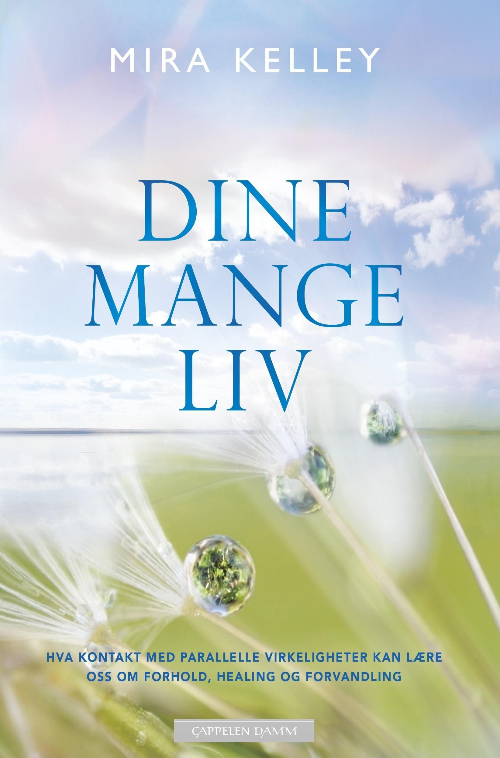 Dine mange liv - hva kontakt med parallelle virkeligheter kan lære oss om forhold, healing og forvandling