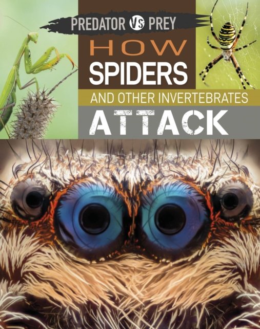 Predator vs Prey: How Spiders and other Invertebrates Attack!