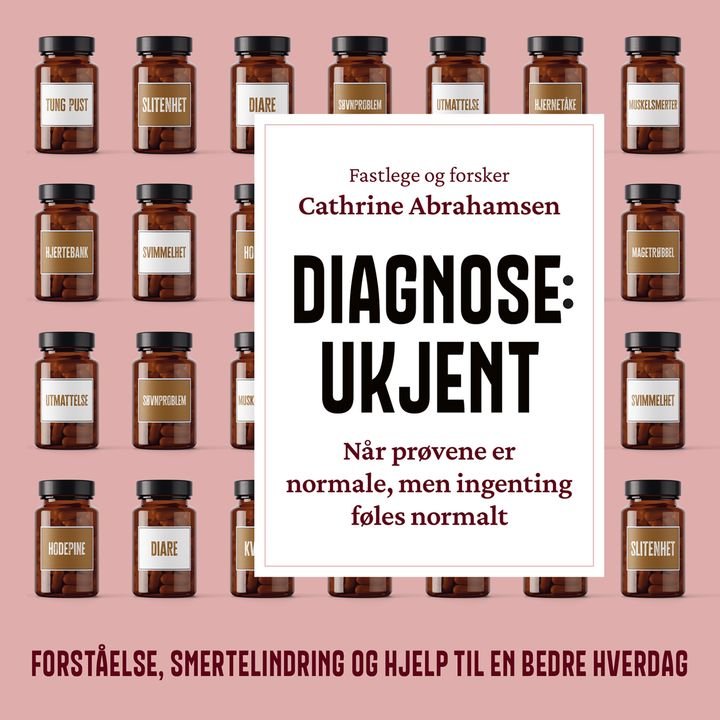 Diagnose: ukjent - når prøvene er normale, men ingenting føles normalt : forståelse, smertelindring og hjelp til en bedre hverdag