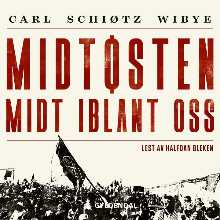 Midtøsten midt iblant oss - hvordan regimene i Iran, Egypt og Saudi-Arabia ødelegger integreringen i Europa