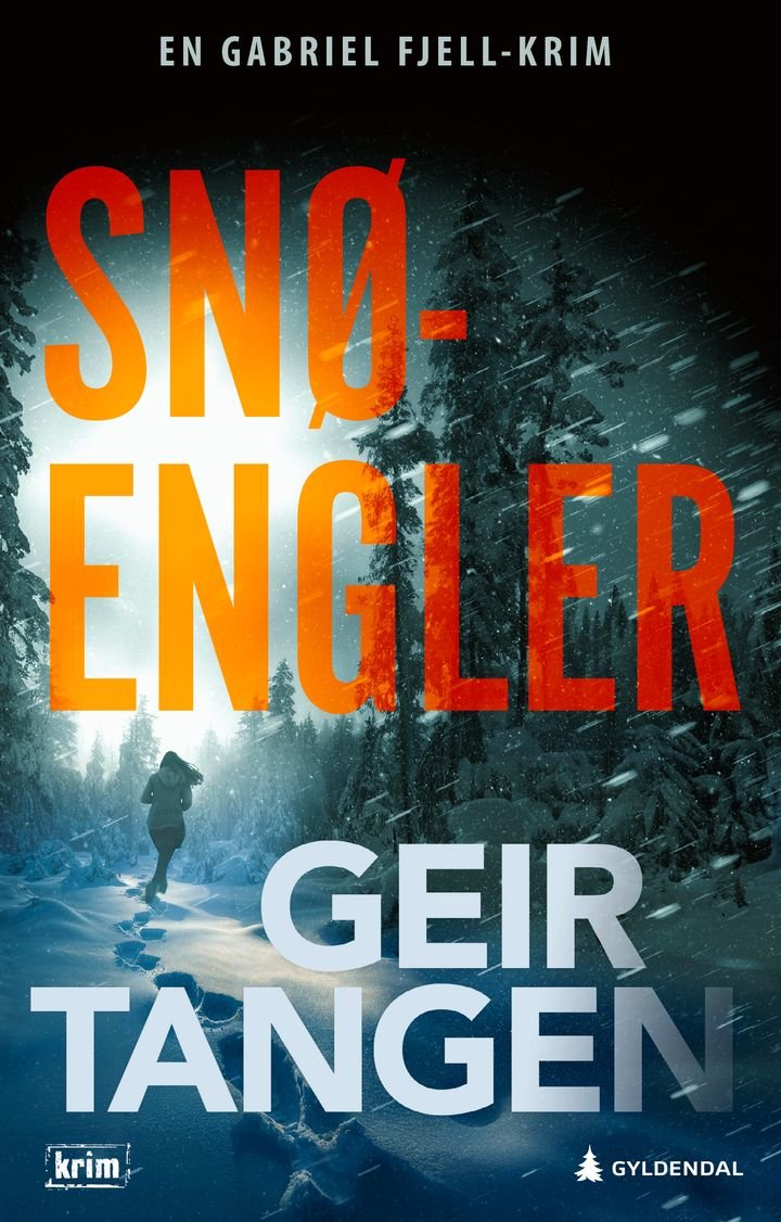 Snøengler - kriminalroman